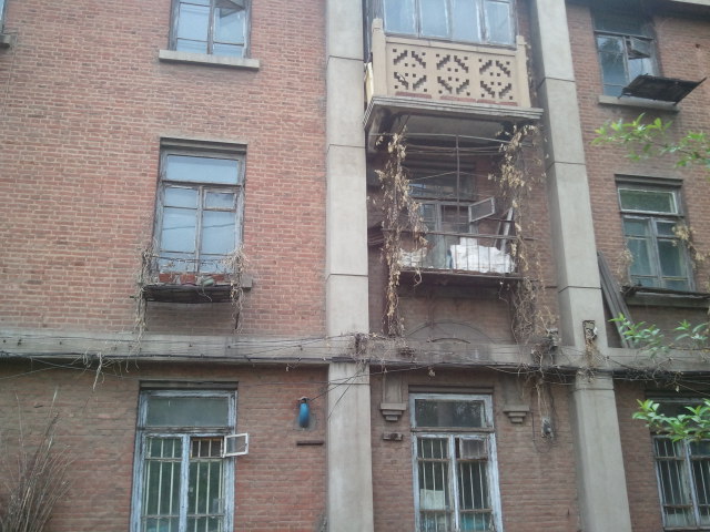 2014-05-03 15.35.16.jpg