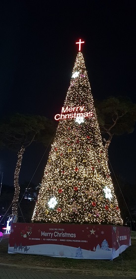 11.27--- (반석묵상) 크리스마스 트리.jpg